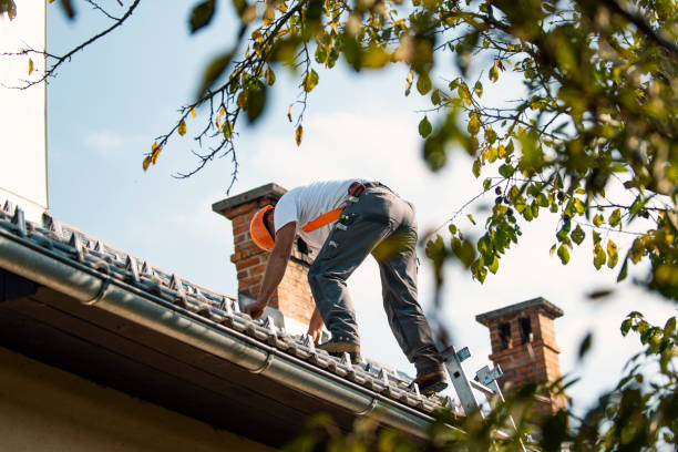 Professional Roofing Contractor in Durant, MS