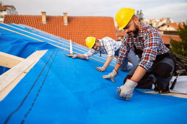 Roof Gutter Cleaning in Durant, MS