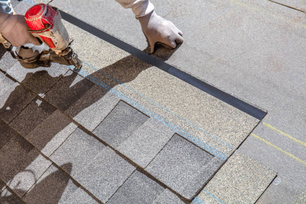 Best Shingle Roofing Installation  in Durant, MS